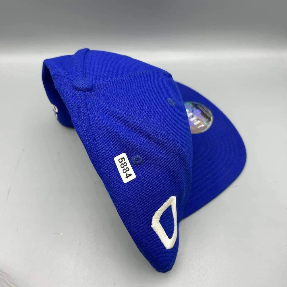 Air‎ Jordan Hat Men Blue Space Jam That's All Folks Jumpman Snap Back Cap
